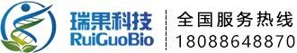 爱游戏在线官网-爱游戏(中国)